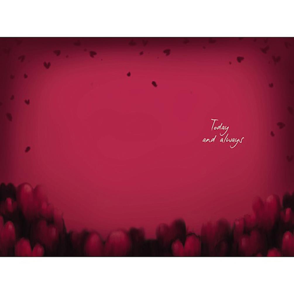 Forever Valentine Softly Drawn Me to You Bear Valentine's Day Card Extra Image 1